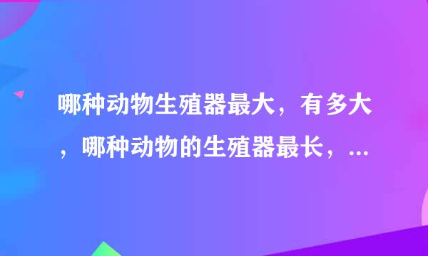 哪种动物生殖器最大，有多大，哪种动物的生殖器最长，有多长？