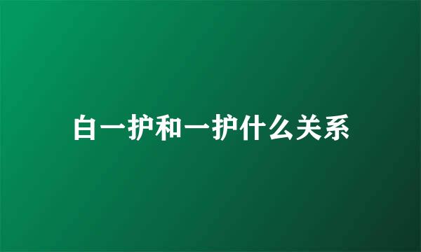 白一护和一护什么关系