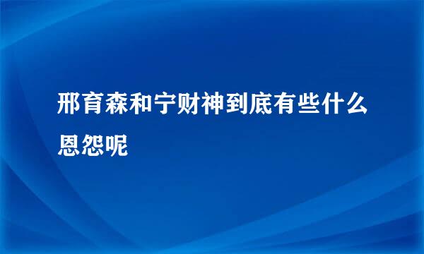 邢育森和宁财神到底有些什么恩怨呢