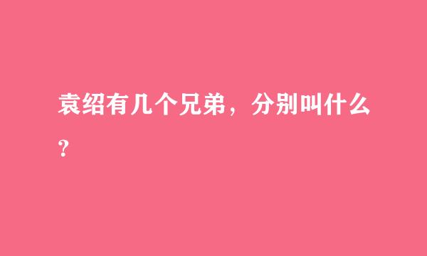 袁绍有几个兄弟，分别叫什么？