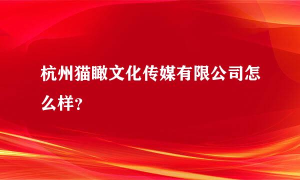 杭州猫瞰文化传媒有限公司怎么样？