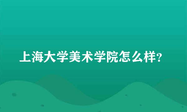 上海大学美术学院怎么样？