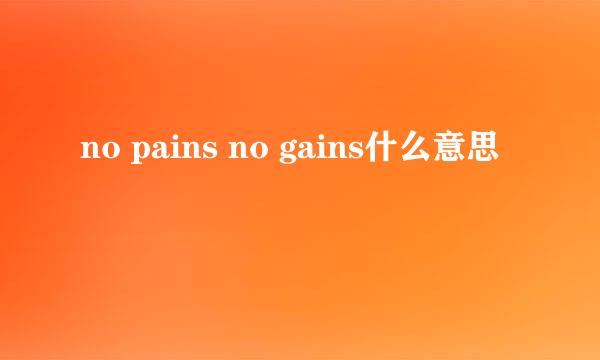 no pains no gains什么意思