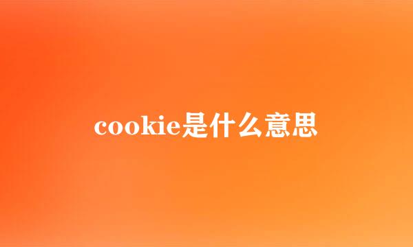 cookie是什么意思