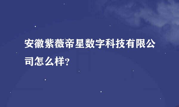 安徽紫薇帝星数字科技有限公司怎么样？