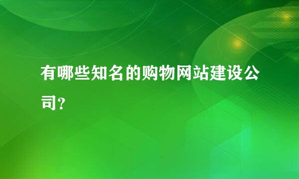 有哪些知名的购物网站建设公司？