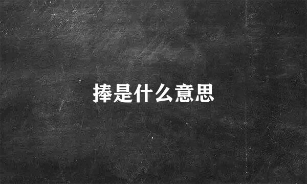 捧是什么意思