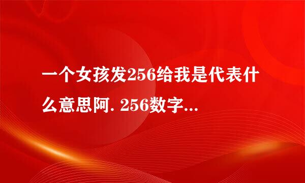 一个女孩发256给我是代表什么意思阿. 256数字代表什么意思阿. 他备注我的名字也是256