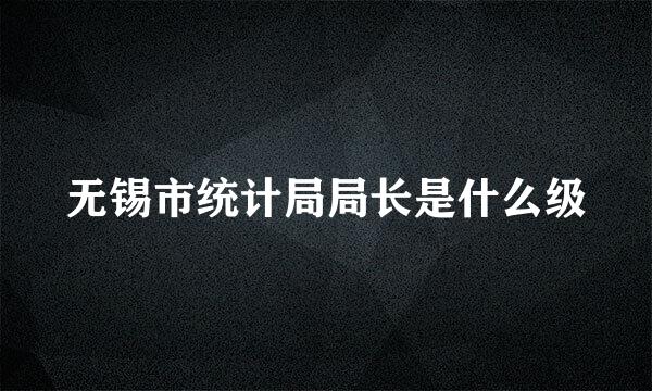 无锡市统计局局长是什么级