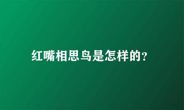 红嘴相思鸟是怎样的？