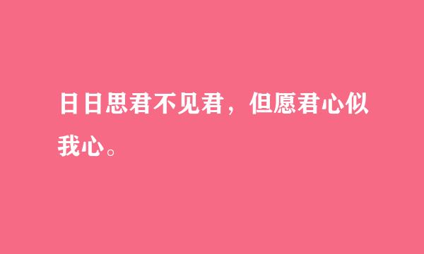 日日思君不见君，但愿君心似我心。