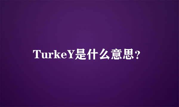 TurkeY是什么意思？