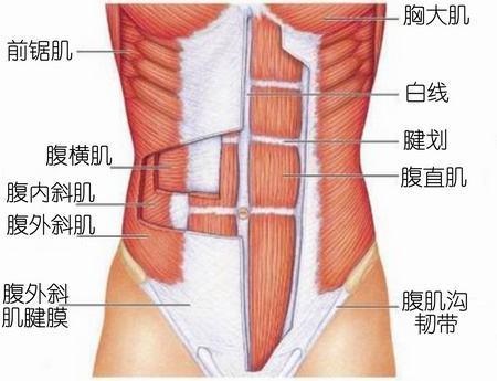 怎样练出八块腹肌?