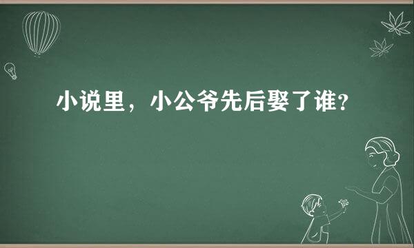 小说里，小公爷先后娶了谁？