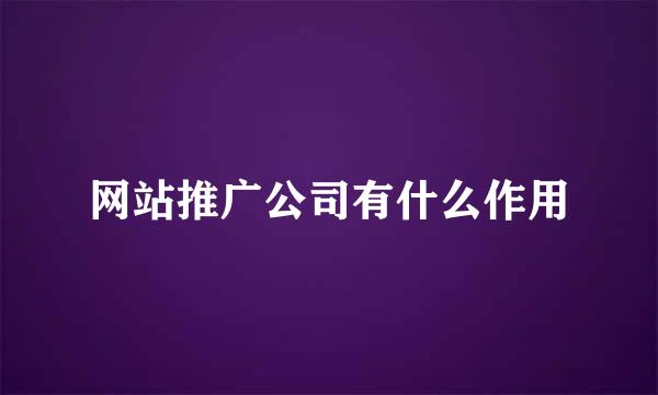 网站推广公司有什么作用