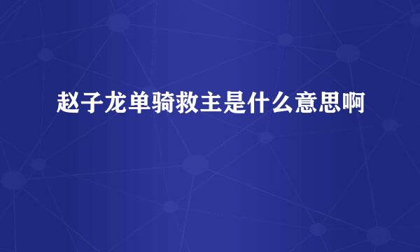 赵子龙单骑救主是什么意思啊