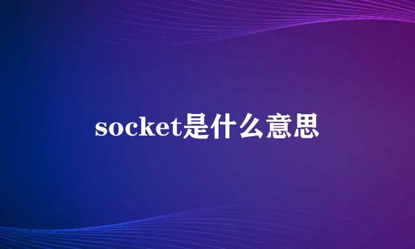 socket是什么意思