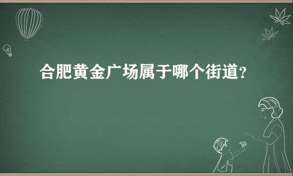 合肥黄金广场属于哪个街道？