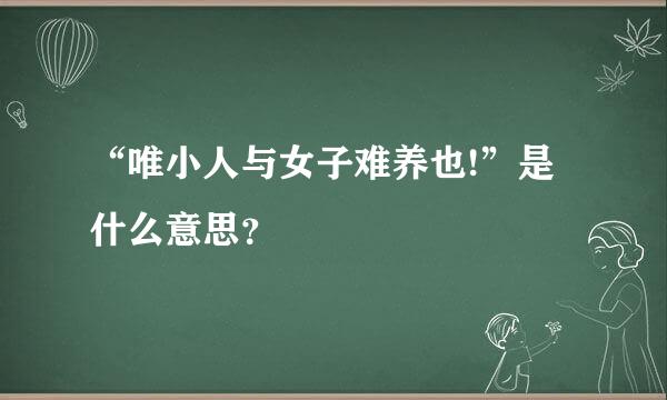 “唯小人与女子难养也!”是什么意思？