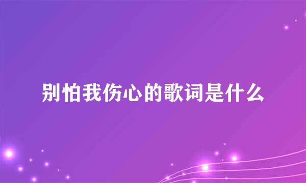 别怕我伤心的歌词是什么