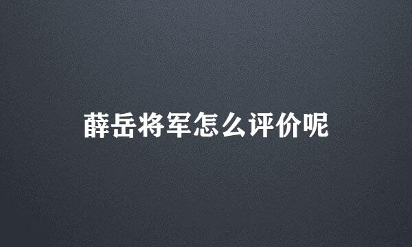 薛岳将军怎么评价呢