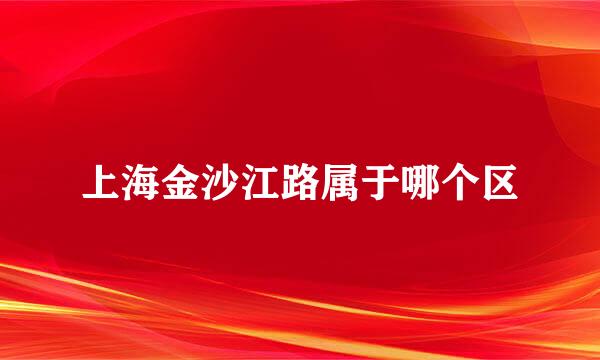 上海金沙江路属于哪个区