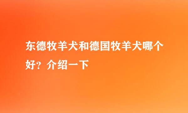 东德牧羊犬和德国牧羊犬哪个好？介绍一下