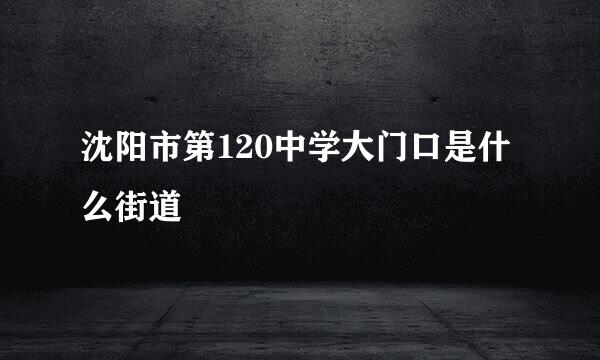 沈阳市第120中学大门口是什么街道