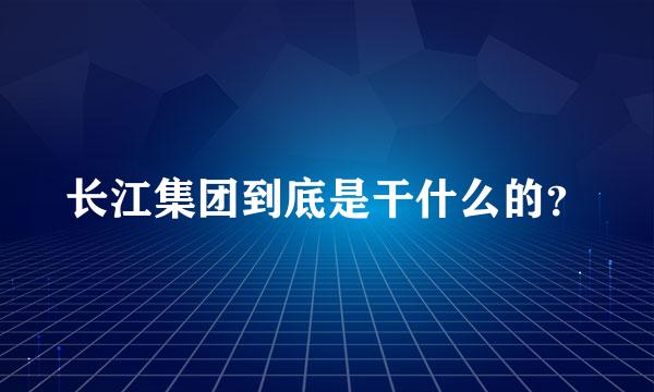 长江集团到底是干什么的？