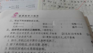 尤其的近义词是什么？