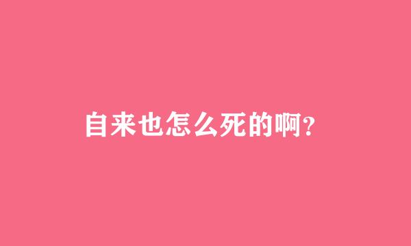 自来也怎么死的啊？