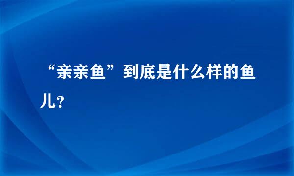 “亲亲鱼”到底是什么样的鱼儿？