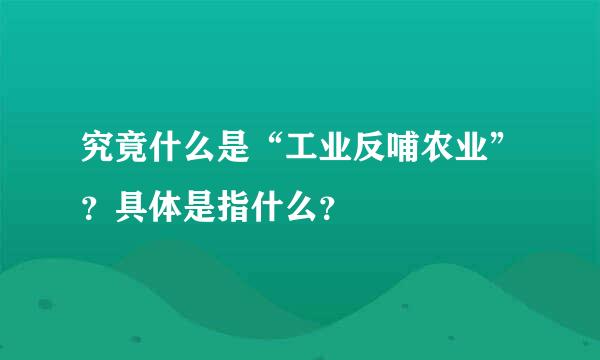 究竟什么是“工业反哺农业”？具体是指什么？