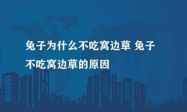 兔子为什么不吃窝边草 兔子不吃窝边草的原因