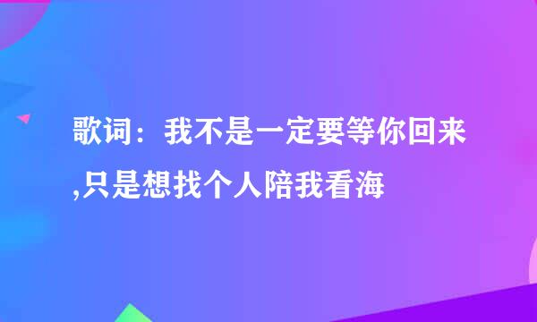 歌词：我不是一定要等你回来,只是想找个人陪我看海