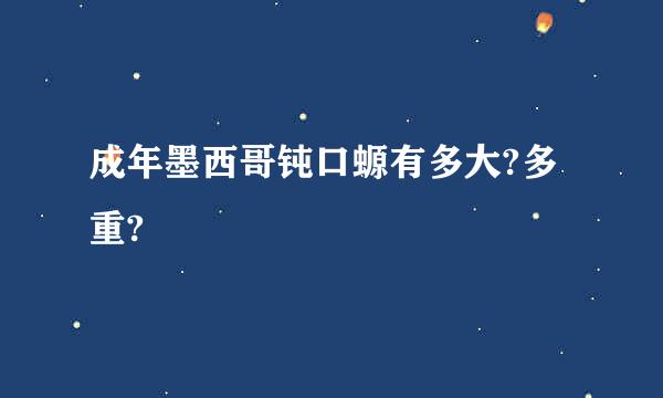 成年墨西哥钝口螈有多大?多重?