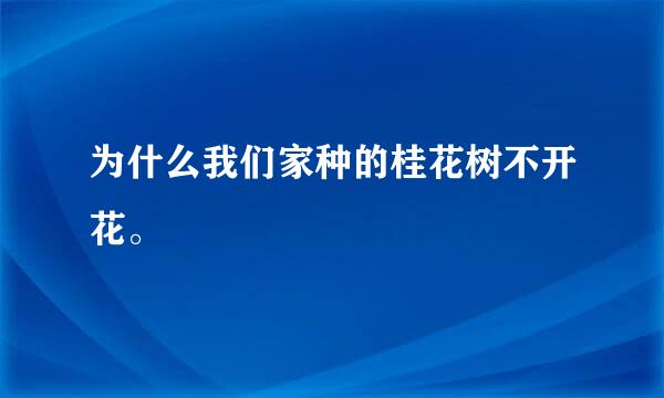 为什么我们家种的桂花树不开花。