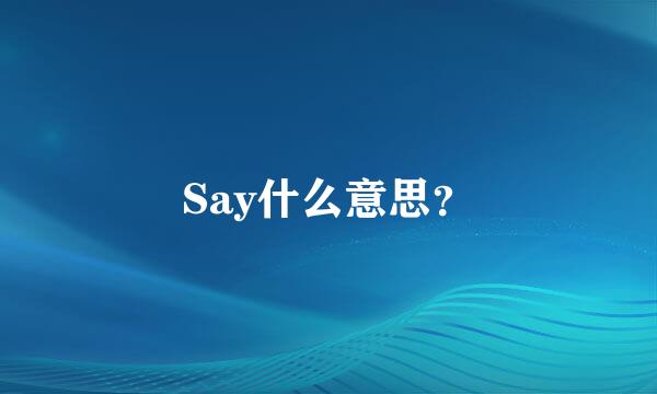 Say什么意思？