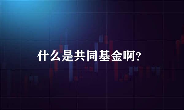 什么是共同基金啊？