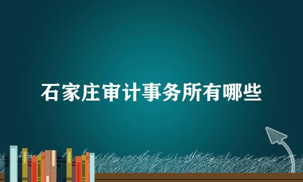 石家庄审计事务所有哪些