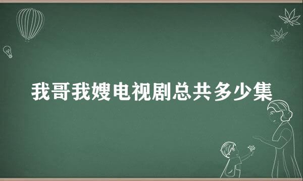 我哥我嫂电视剧总共多少集