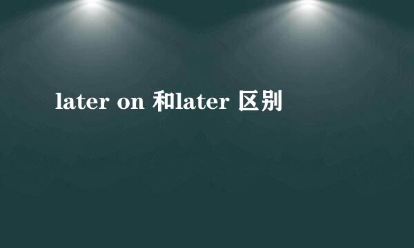 later on 和later 区别