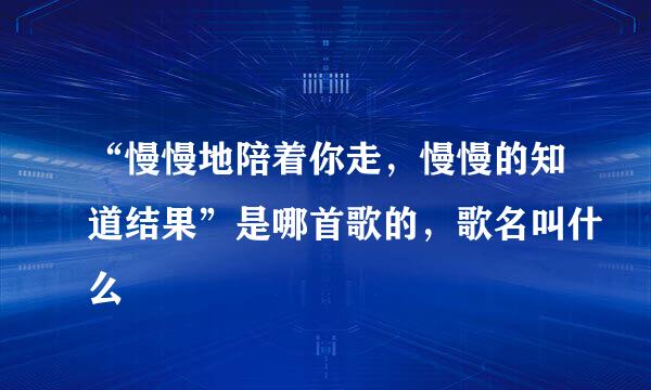 “慢慢地陪着你走，慢慢的知道结果”是哪首歌的，歌名叫什么