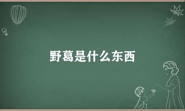 野葛是什么东西