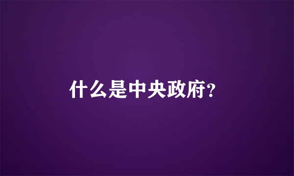 什么是中央政府？