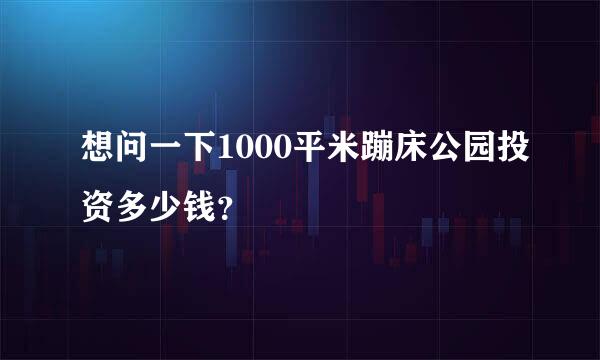 想问一下1000平米蹦床公园投资多少钱？