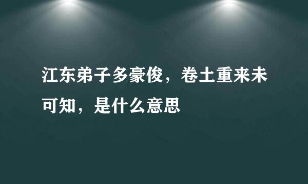 江东弟子多豪俊，卷土重来未可知，是什么意思