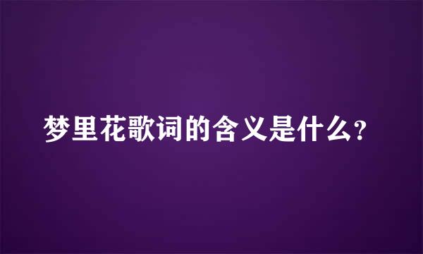 梦里花歌词的含义是什么？