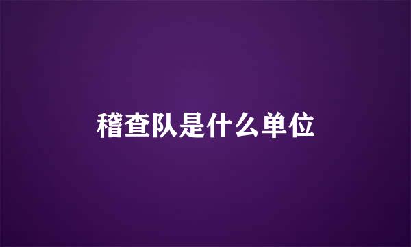 稽查队是什么单位