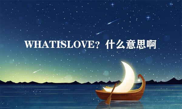 WHATISLOVE？什么意思啊